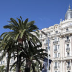 port-de-cannes-un-environnement-exceptionnel