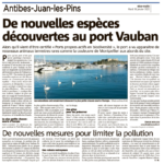 20220118_NICEMATIN_Des_nouvelles_especes_decouvertes_au_port_vauban