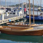 PINGUINO_23062025_2